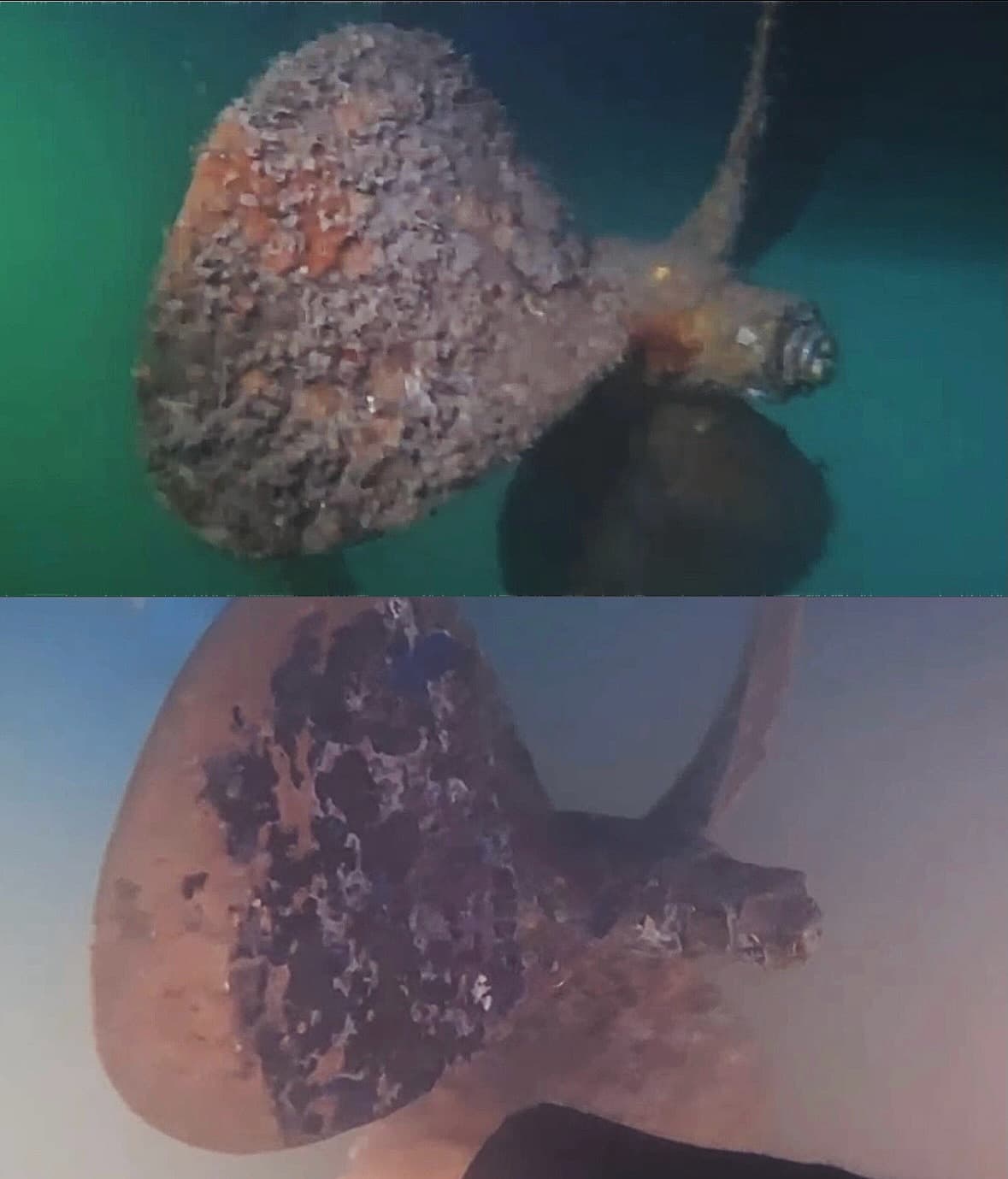 Split underwater before-and-after view shows a propeller covered in marine growth above and cleaned below.