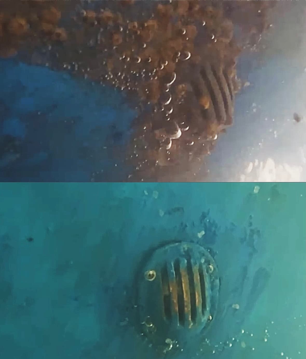 Split underwater views document marine growth and cleaned hull fittings.